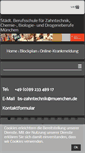 Mobile Screenshot of bs-zt-chem.musin.de
